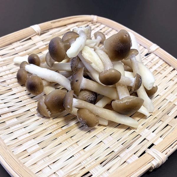 ◇商品名：冷凍食品 アグリコ 冷凍ぶなしめじカット 500g 業務用カット しめじ◇ポイント：石づき部分を取り除き使い勝手が良い状態で冷凍しております。また、冷凍する事でしめじ本来の味が更に強くなっております。調理の際は解凍をせずに凍ったま...