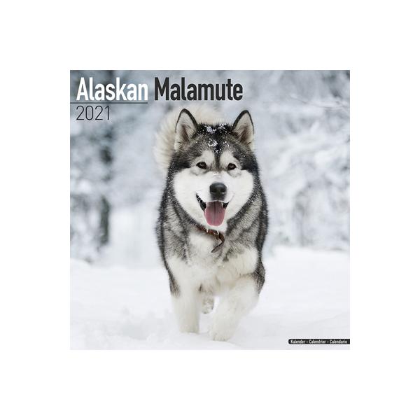 21ドッグカレンダー 5 アラスカンマラミュート 英国製 Online Shop 藤信堂 通販 Yahoo ショッピング