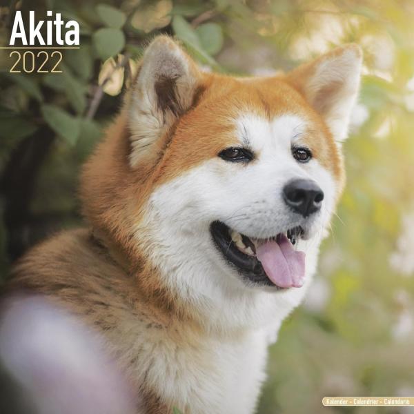 秋田犬 犬用ペットグッズの人気商品 通販 価格比較 価格 Com