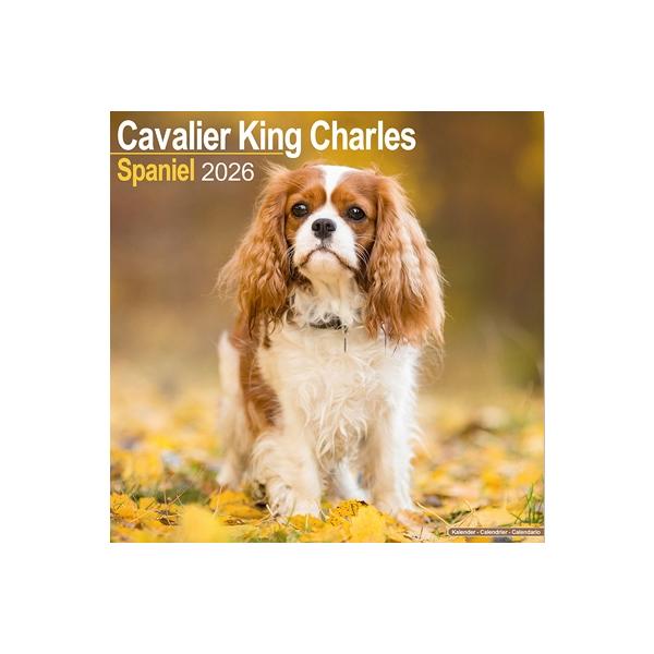 [Release date: October 1, 2025]【好評ご予約受付中！受付期間〜7月15日まで・以後在庫品販売のみとなります】◆こちらのペットカレンダーは輸入品のため、ご予約販売となります。ご注文受付後、10月頃順次ご発送を予定...