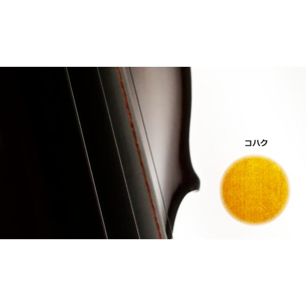 内容.................................................全塗装オプション1.......ポリッシュ並仕上げor上仕上げオプション2...........................種類Vn....