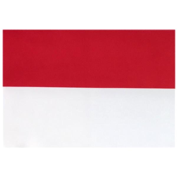 買物 TOSPA 世界の国旗 ミニタオル ハンドタオル 日本国旗柄 日の丸 素早い吸水 速乾のマイクロファイバー生地 