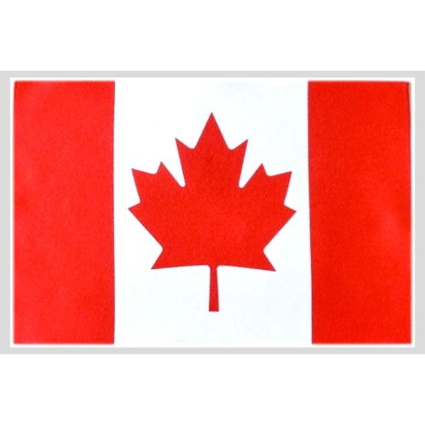 TOSPA E̍ ~j^I nh^I Ji_ [v[ttbO ifz ̃}CNt@Co[nj