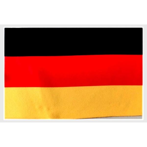 TOSPA E̍ ~j^I nh^I hCc ifz ̃}CNt@Co[nj