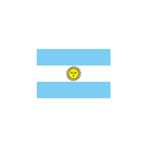 【限定】アルゼンチン代表 M まとめ売り 万国旗タグ18,000円→ 401108n.jpg