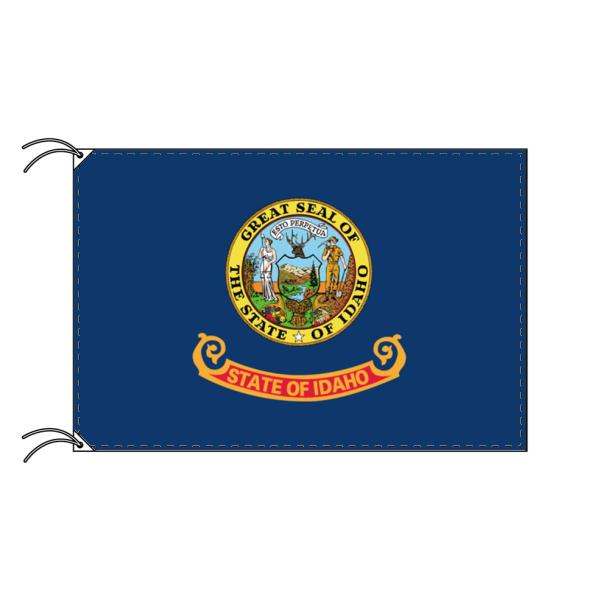 ⭐️ 大分県 旗 テトロン製 日本製 大分県 応援 スポーツ 部活 大会 Amazon | CMD 白無地 学級旗 4枚 大旗 応援旗 150x90cm 旗 学校