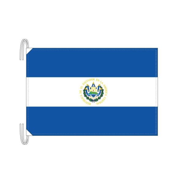 TOSPA GToh  LTCY 50×75cm eg { E̍V[Y