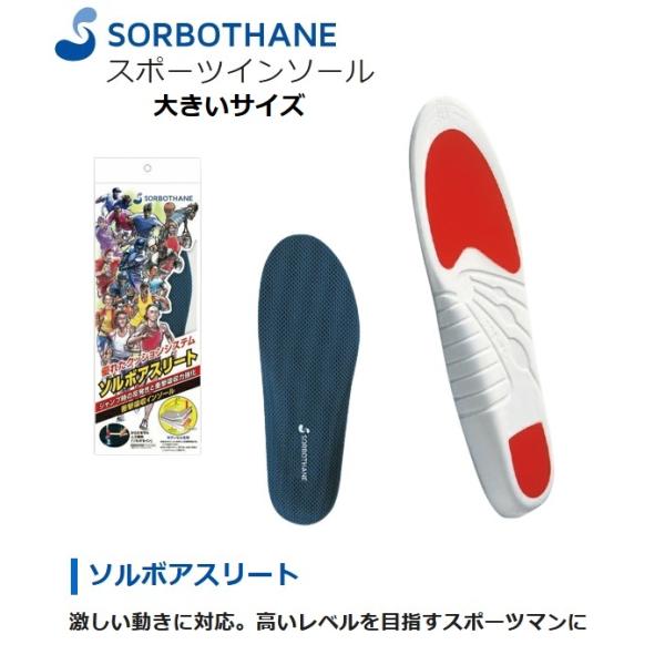 バレーボールシューズ 中敷きの人気商品 通販 価格比較 価格 Com