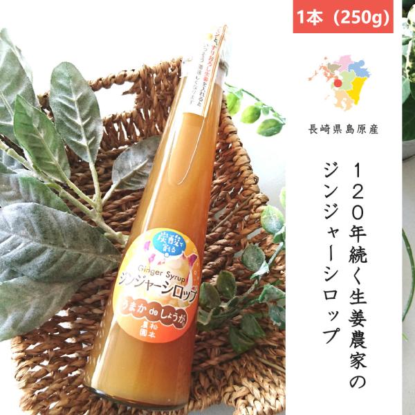 松本農園のジンジャーシロップ 1本(250g) 長崎県産 島原半島