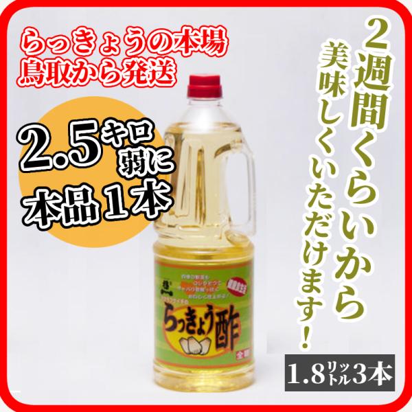 傤| 1.8L 3{   傤Ђ lC   Ђ邾  傤Ђ̑f ybg{g 󕟈 ֗ {Ђ