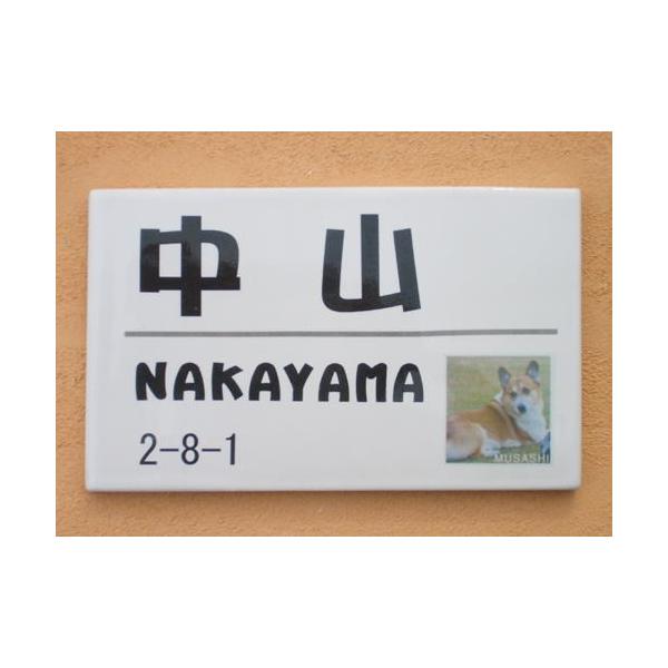 \D ˌ  ybg ʐ^ \D  iP1ybg`hbO 120×200×7mmjƑ̈̎q̎ʐ^\D   A[g cp