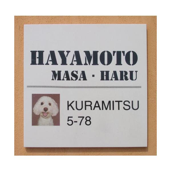 \D ˌ  ybg ʐ^ \D  iP3ybg`hbO200  200×200×7mmj L  tFbg  A[g cp