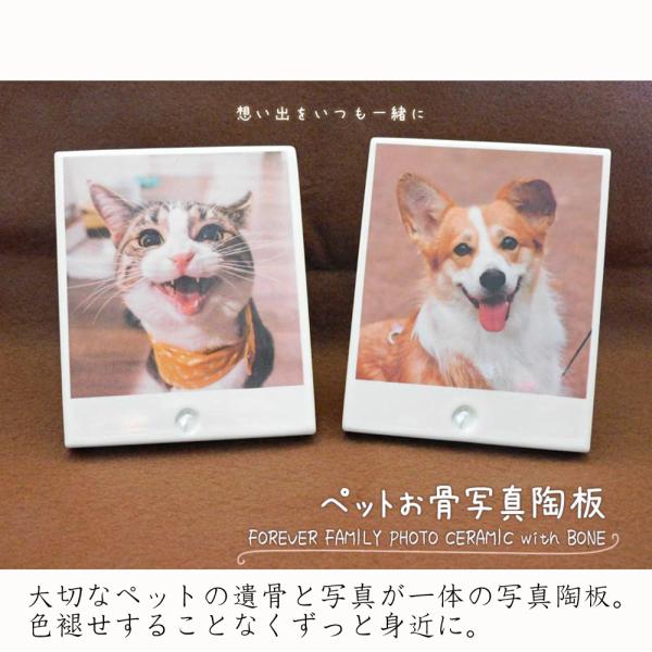 【ペット供養お骨写真陶板 フォトセラメモリー pc1　サイズ：約110×90×13mm】大切な家族の一員のペット。在りし日の姿のお写真と、ご遺骨を一体にして、永遠に色褪せしない陶器へ高温焼付しました。メモリアル写真と骨壺が1枚の陶板になって...
