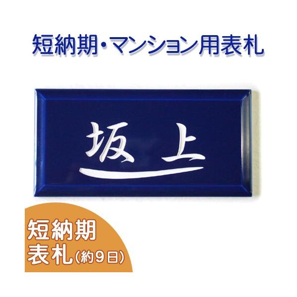 iZ[ji^C\Dj 蕶ۓIȉ̂[u[̃v`TCY^C\DB] u[ T2 TCYF100×200×8mm