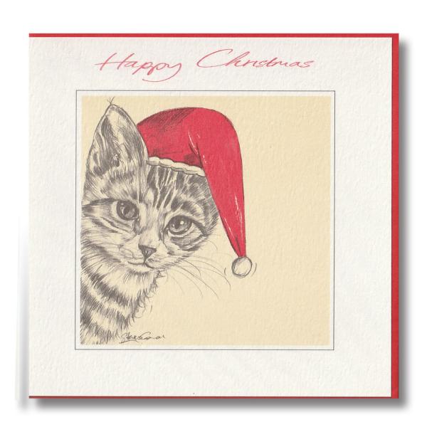 p NX}X O[eBOJ[h L T^N[X  [OK