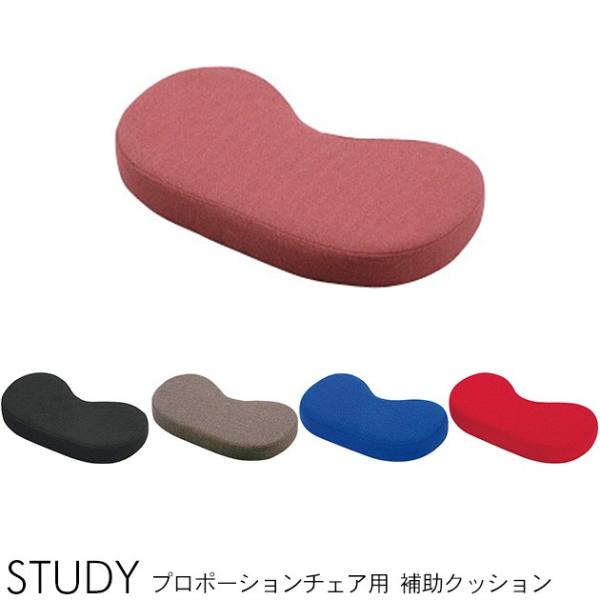 v|[V`FA wK`FA wKp֎q rO Study v|[V`FAp ⏕NbVi{̕ʔj ymxeBΏۊOz