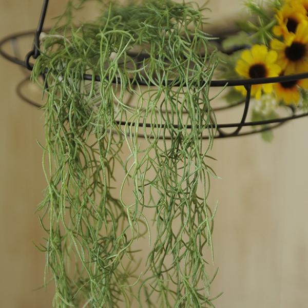  CeA  fBXvC tA   G A[gt[ Ă̑ XpjbVXnK[