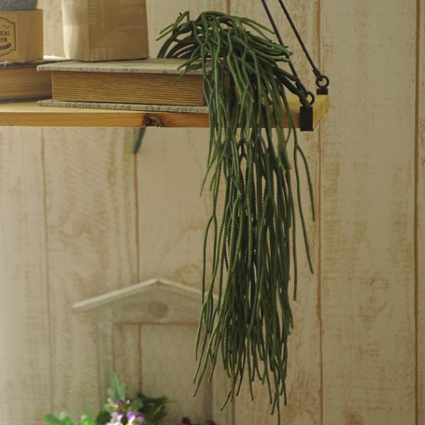  CeA  fBXvC tA   G A[gt[ Ă̑ ~NubVnK[