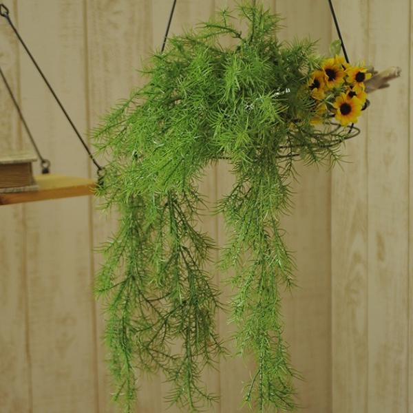  CeA  fBXvC tA   G A[gt[ Ă̑ AXpnK[