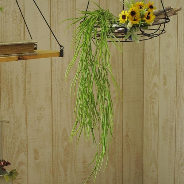  CeA  fBXvC tA   G A[gt[ Ă̑ R[nK[