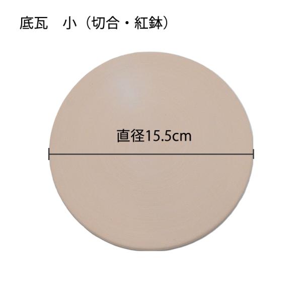 �ꊢ�@���i�؍��E�g���p�j�@���a��15.5cm