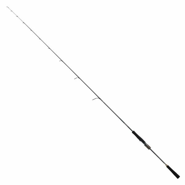 SALTIGA SLJ EX 61MS TG ダイワ 予約 : 東海つり具Y