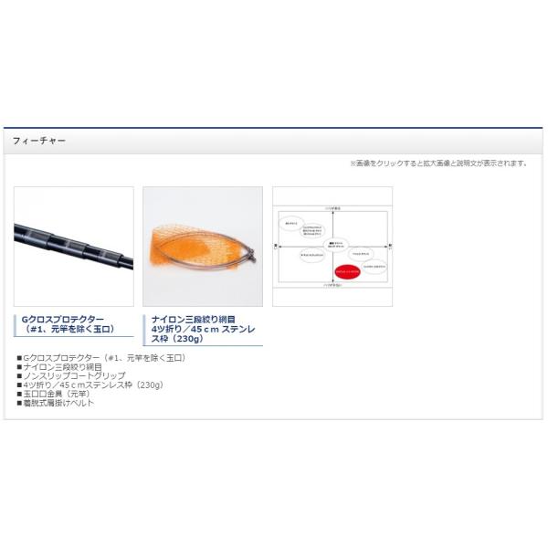 アドバンス 磯 玉網4002