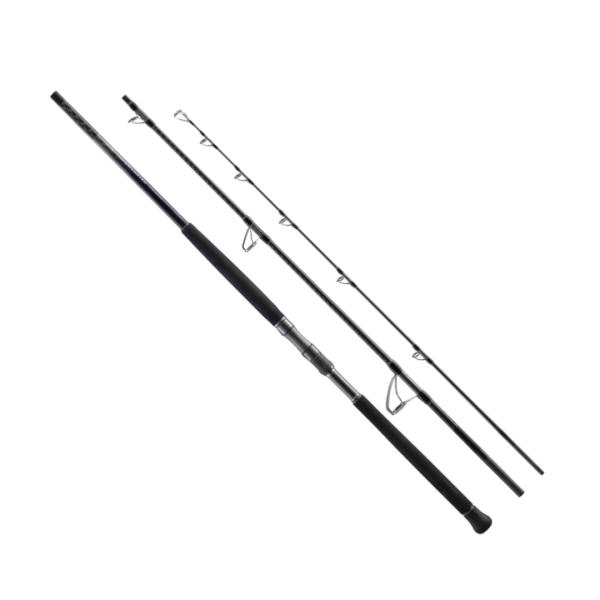 toukaiturigu_4969363327611