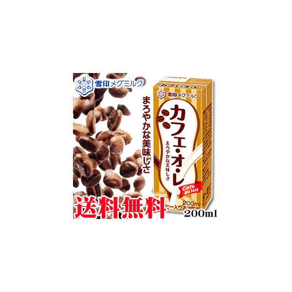 IJtFEI 200ml 12{Zbg@@O~N@JtFI@~N@R[q[@i@I[@͕ʓrKvƂȂ܂B