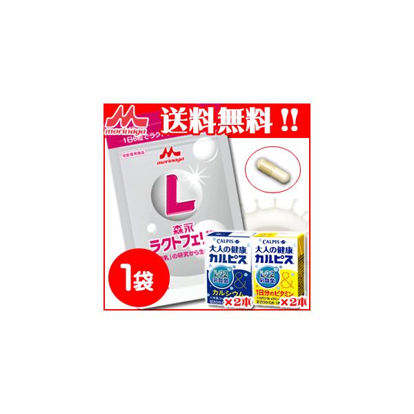 �y���������z�X�i�T�v�� ���N�g�t�F�����p�E�`�i250mg × 90���j×�P�܁{��l�̌��N�J���s�X�S�{