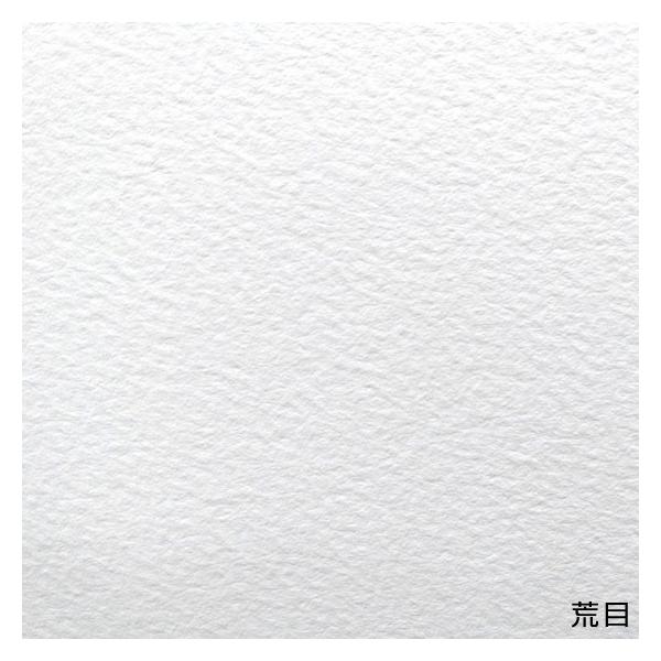 画材用紙 BOX セザンヌ水彩紙（中性紙） 300G 荒目 F50号用 3枚入