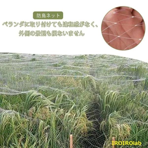 防鳥ネット 防鳥網 2×50m 3×30m 7m×30m 10m×10m カラス避け 鳩避け 鳥避け 猫脱走防止 野良猫侵入防止 ナイロン 透明ネット