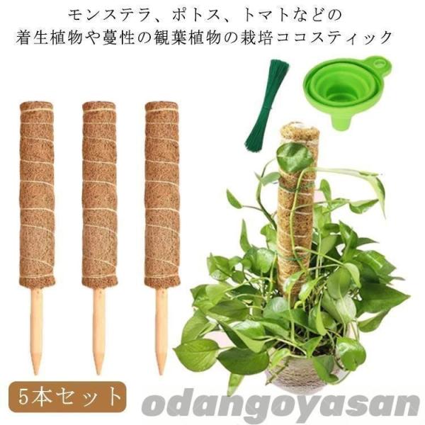 ココスティック モンステラ 支柱 ココナッツ 5本セット  園芸支柱 ポトス 植物サポート 植物支柱 観葉植物 植物 使いやすい おすすめ 人気 注目アイテム
