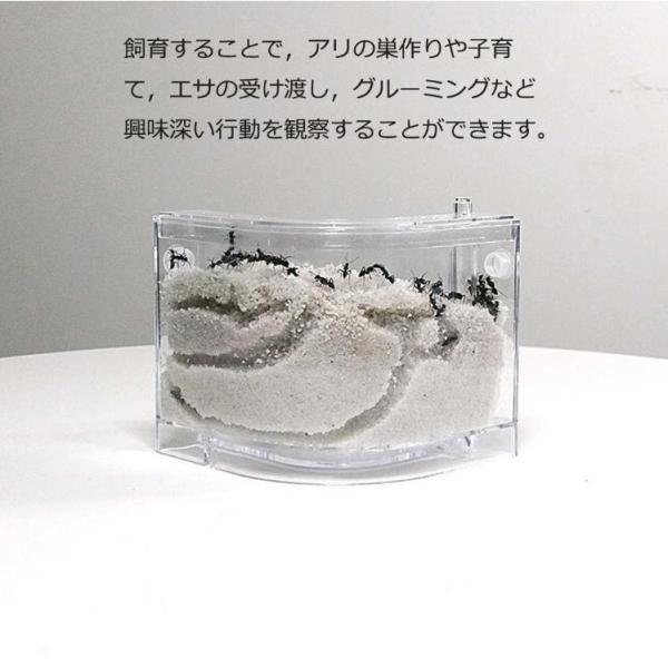 �A���̑��@����ώ@�L�b�g�@����P�[�X�@���@���R���� ���w�� ���� �a ����Z�b�g �����Z�b�g �ώ@�@�ċx�݁@�w�K�p-THKJ ���i�摜1