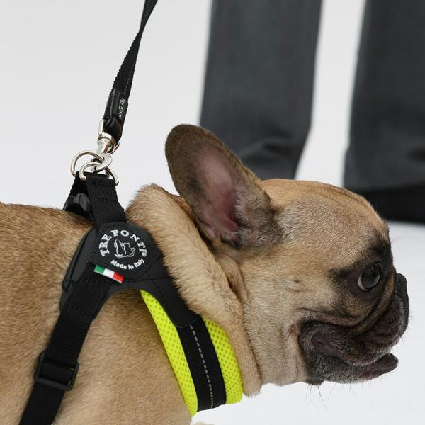 touzaiyamakaban_leash-stm_2_d_20240704101649