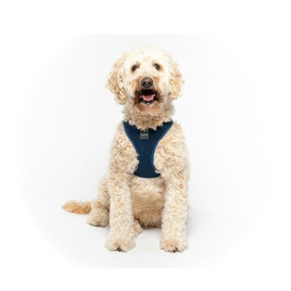 touzaiyamakaban_stepin-3size_2_d_20241119223427