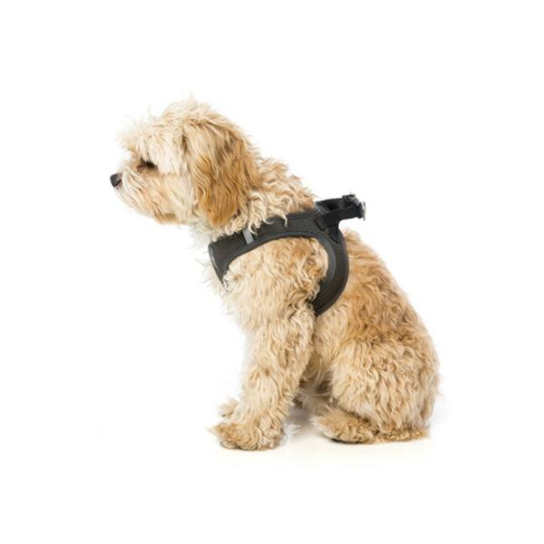 touzaiyamakaban_stepin-3size_5_d_20241119223455