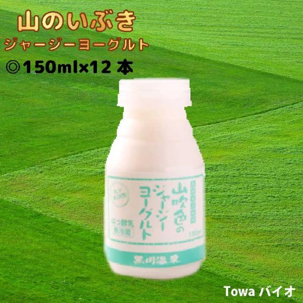 山のいぶき　山吹色のジャージーヨーグルトセット 150ml×12本｜熊本阿蘇、小国町・高村武志牧場｜黒川温泉｜ゴールデンミルク｜添加物不使用