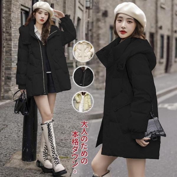 towajp_x-240819-mmyi191