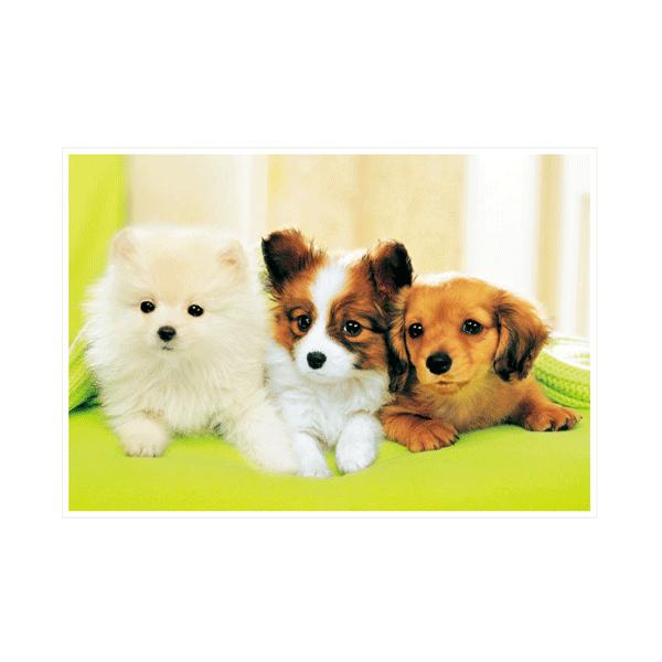 エポック社（EPOCH） ジグソーパズル わん わん わんこ（300ピース