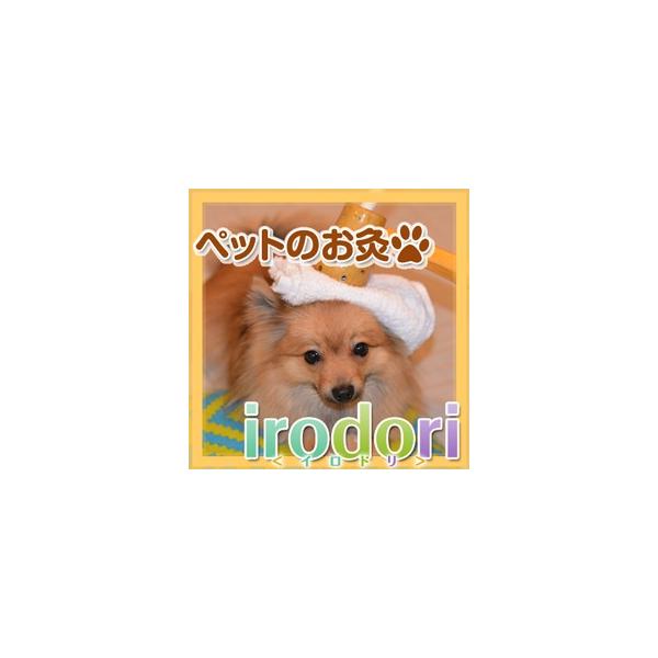 ペットのお灸 棒灸irodori イロドリ Rindouセット トワテック Buyee Buyee Japanese Proxy Service Buy From Japan Bot Online