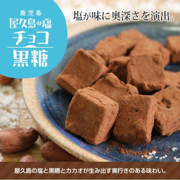 チョコ黒糖 屋久島の塩 鹿児島土産 黒糖菓子 ギフト プレゼント お取り寄せ 溶けないチョコレート 世界自然遺産 Buyee Buyee 日本の通販商品 オークションの代理入札 代理購入