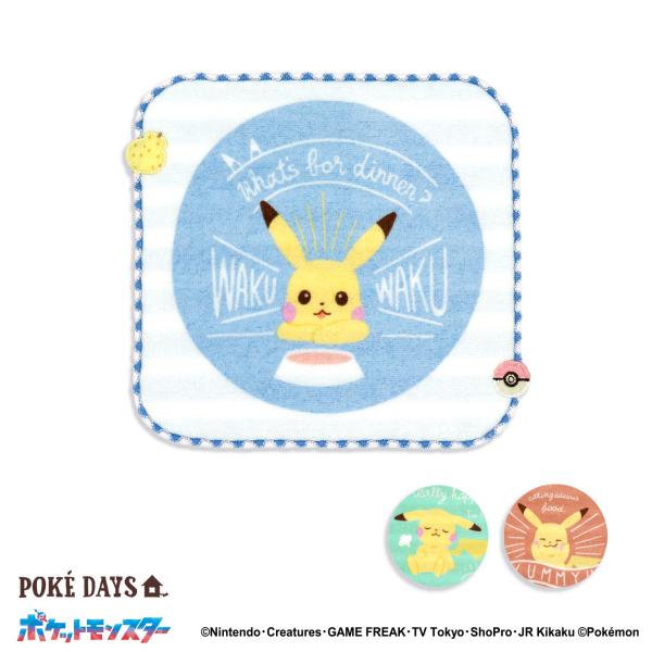 ポケモン タオルハンカチ ハッピーフーズ 名入れ 刺繍 ギフト 贈り物 お中元 タオル美術館