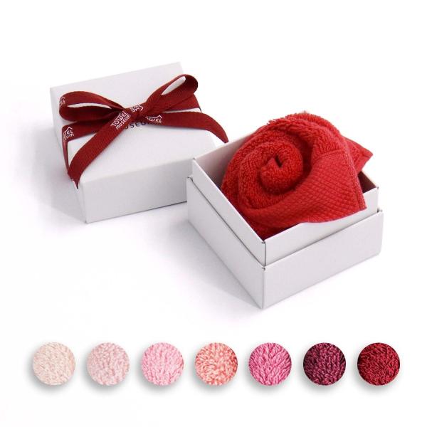 ^I  hJ TMOC J[pbg@^It[{bNX@bhn Mtg v[g j 蕨 ^Ip  LOi NX}X