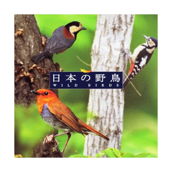 [Release date: March 24, 2005]ご注文後のキャンセル・返品は承れません。発売日:2005年03月24日/商品ID:1648094/ジャンル:趣味/実用/芸能、他 (A)/フォーマット:CD/構成数:1/レーベル:...