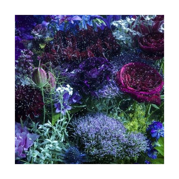 Aimer あなたに出会わなければ 夏雪冬花 星屑ビーナス 通常盤 12cmcd Single タワーレコード Paypayモール店 通販 Paypayモール