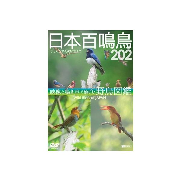 シンフォレストDVD 日本百鳴鳥 202 映像と鳴き声で愉しむ野鳥図鑑/教養[DVD]【返品種別A】