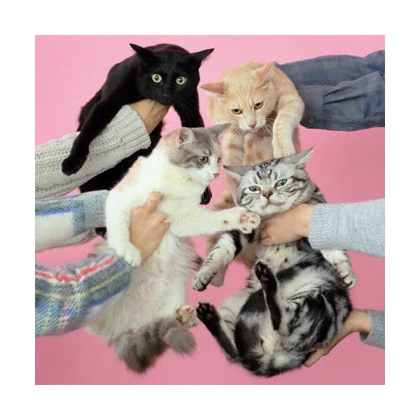 きのこ帝国 猫とアレルギー CD : タワーレコード Yahoo!店 - 通販