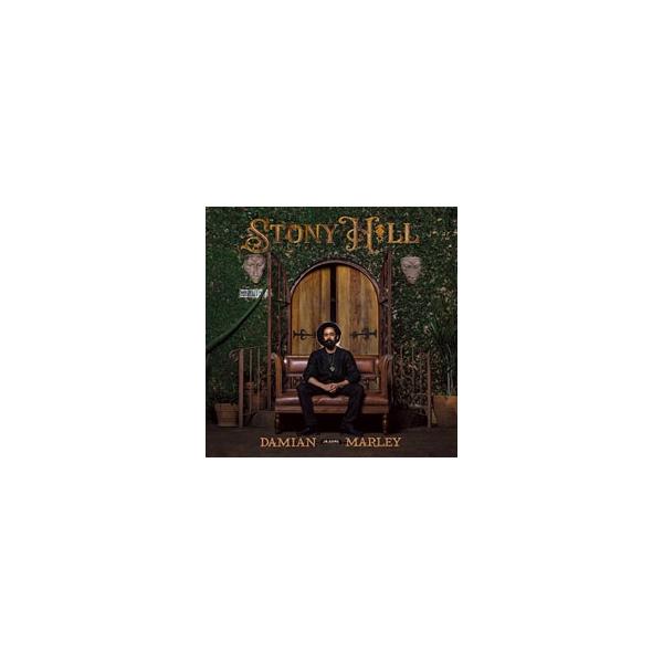 完全限定★ STONY HILL / DAMIAN MARLEY レコード Damian Marley Stony Hill 2LP アナログ レコード - メルカリ