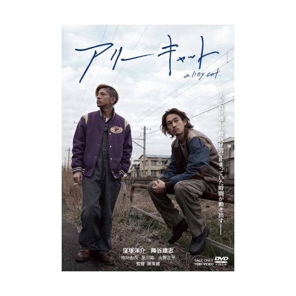アリーキャット DVD